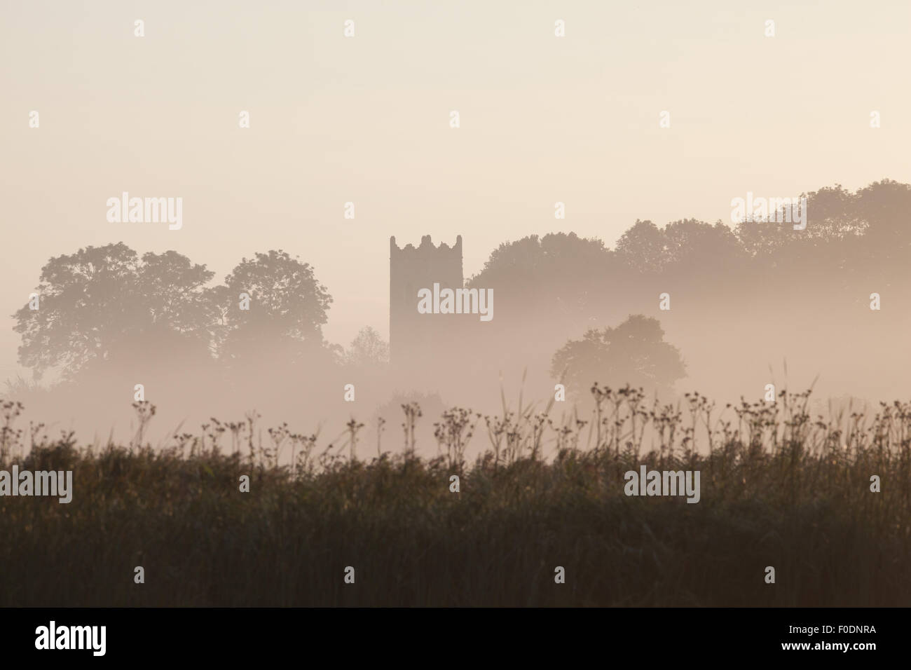 Tamworth chiesa torre nella nebbia sulla Norfolk Broads, Norfolk, Regno Unito Foto Stock