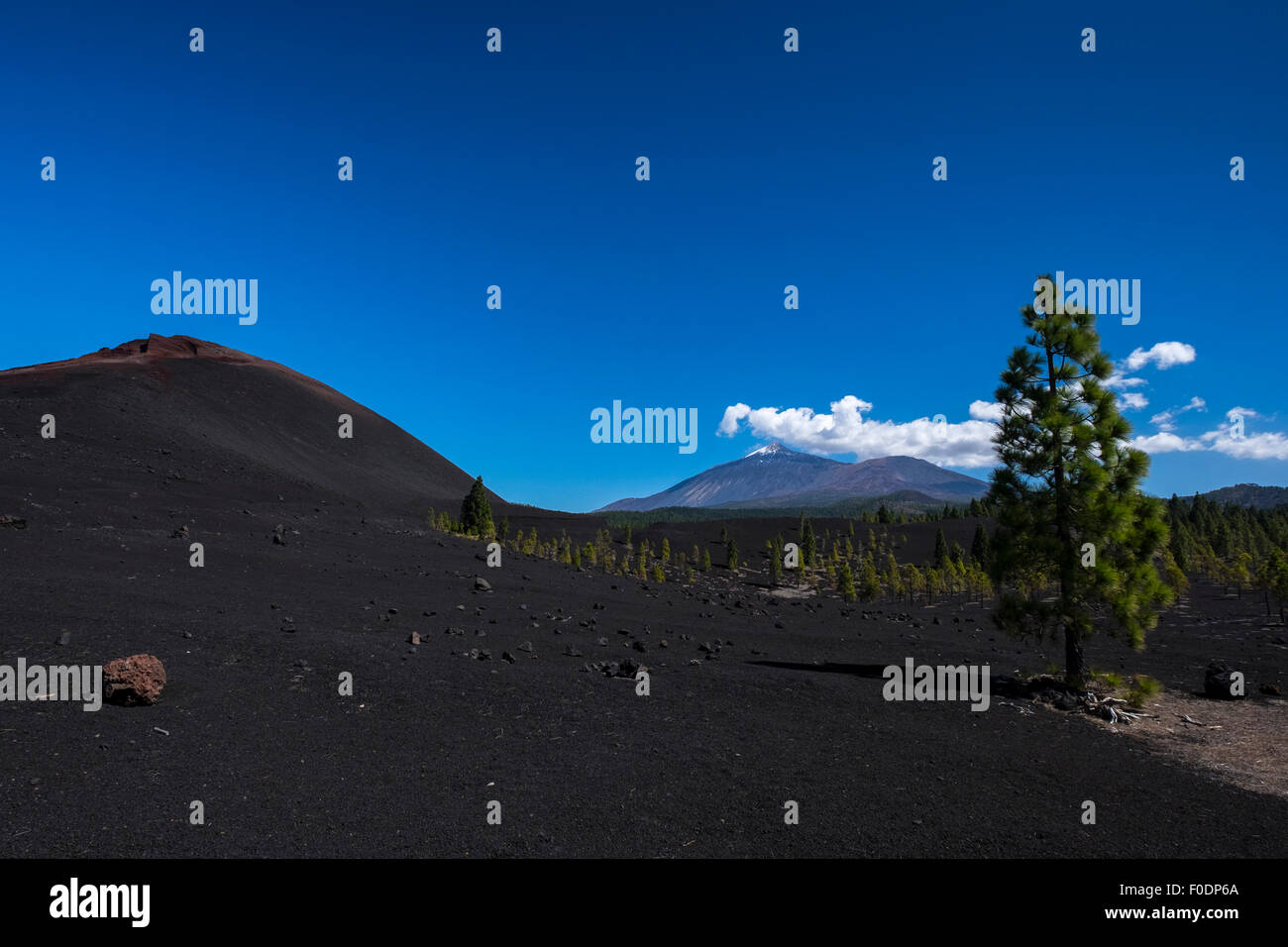 Paesaggio vulcanico di Arenas Negras area con il monte Teide in background, Santiago del Teide Tenerife, Isole Canarie, Spagna. Foto Stock