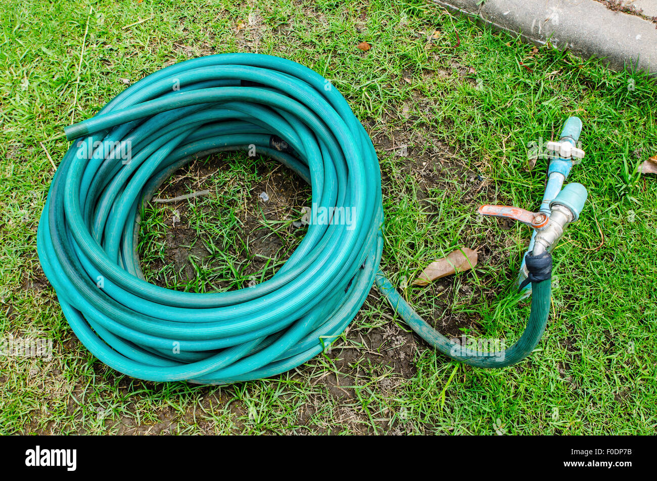 Rubinetto di acqua con tubo di gomma sul parco Foto stock - Alamy