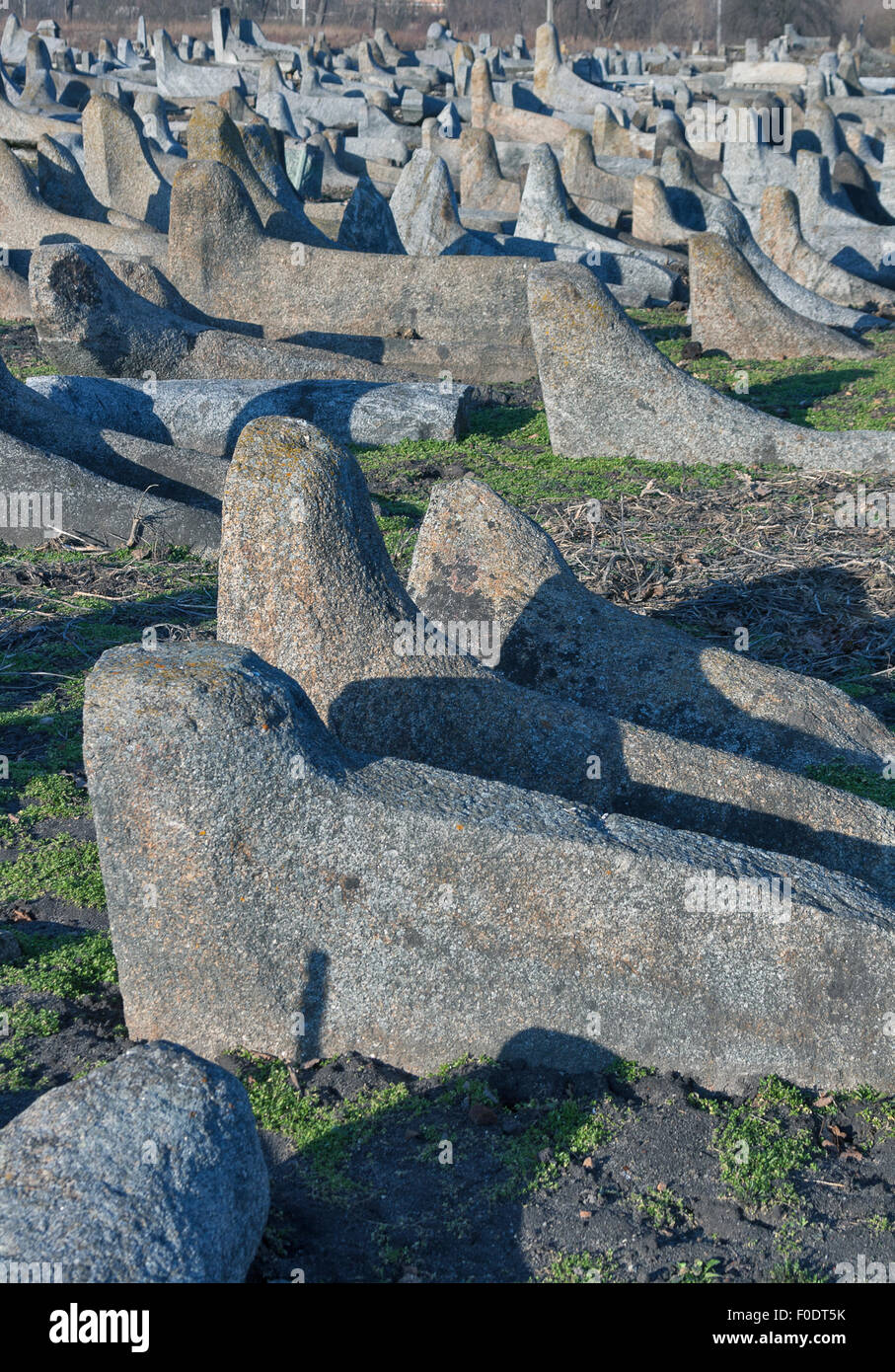 Lapidi caduti dell'antico cimitero ebraico Foto Stock