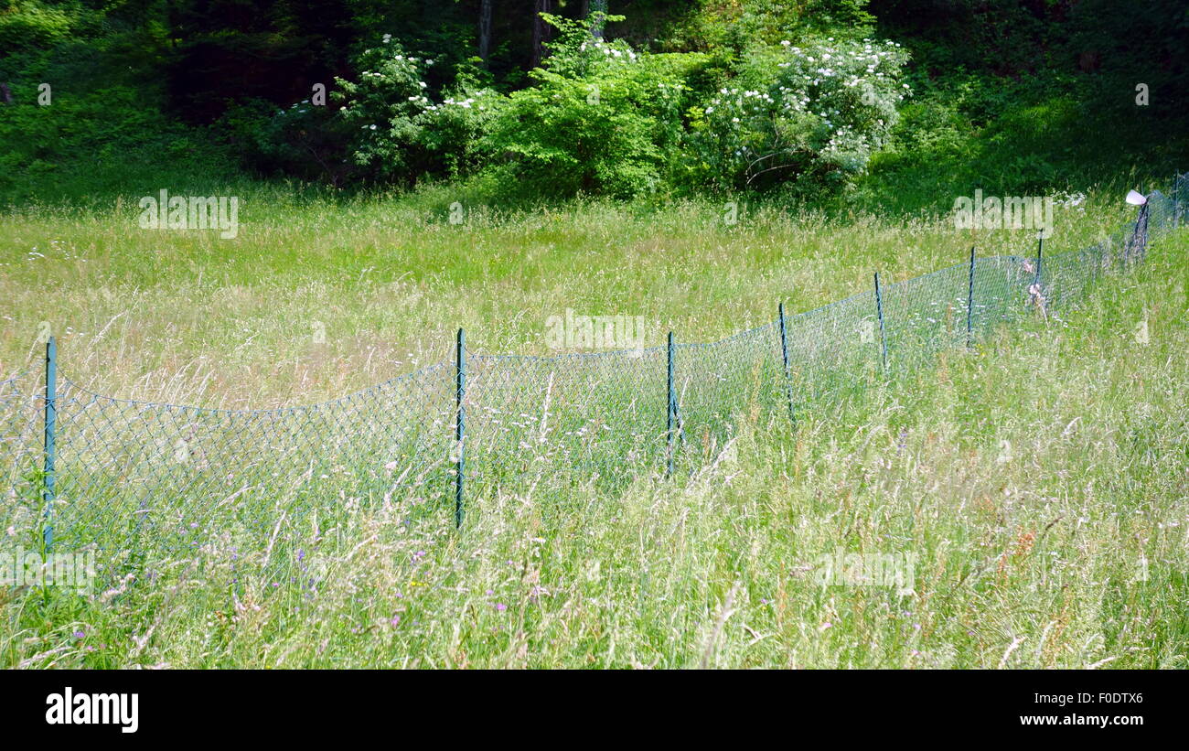 Recinzione metallica proprietà di divisione in Italia Foto Stock