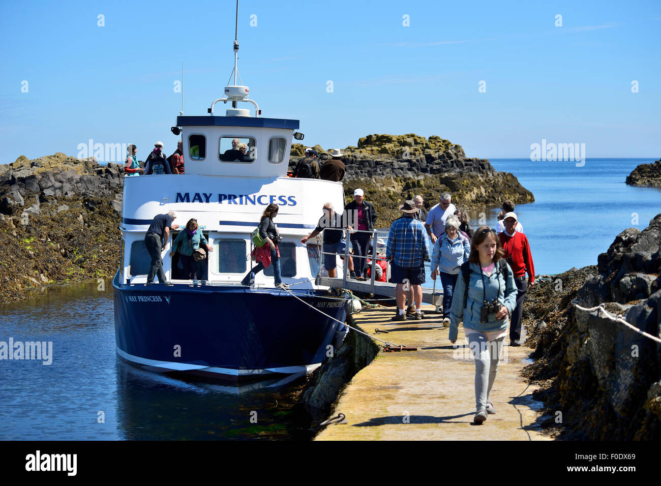 Può la principessa arriva in barca con i visitatori a Scottish Riserva Naturale Nazionale sull isola di maggio, Firth of Forth, Scozia Foto Stock