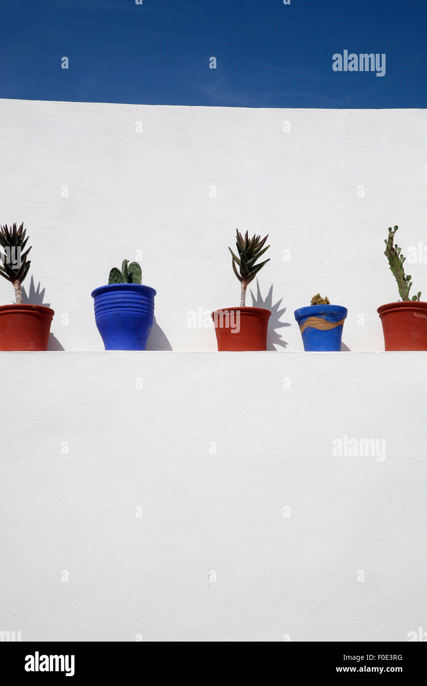 Muro Bianco con piante allineate con il blu del cielo Foto Stock