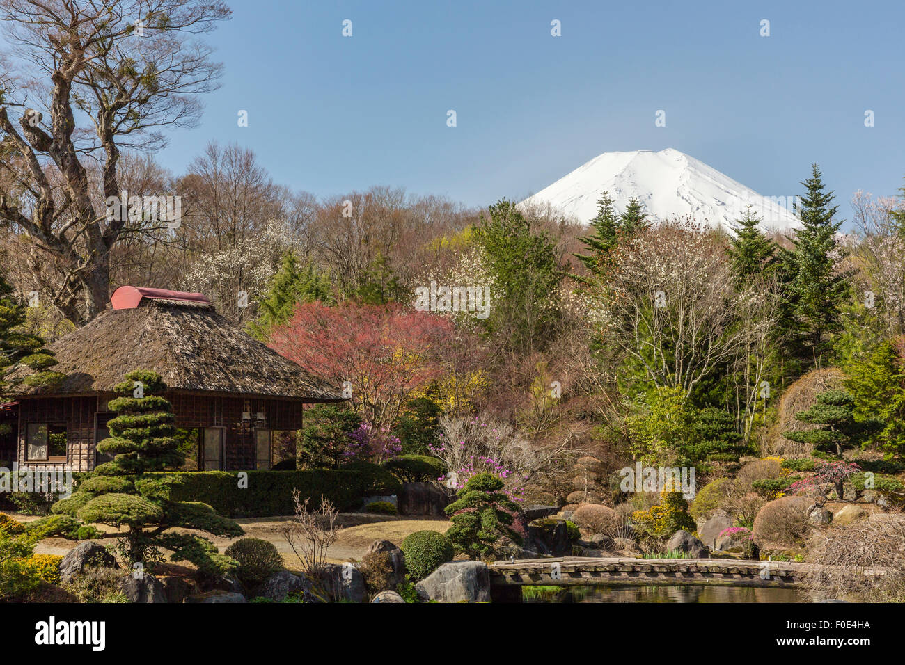 Tetto di Paglia house e Mt. Fuji in Giappone Foto Stock