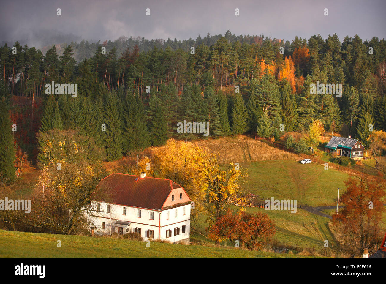 Case vicino al margine della foresta, Rynartice, Ceske Svycarsko / della Svizzera boema National Park, Repubblica Ceca, Novembre 2008 Foto Stock