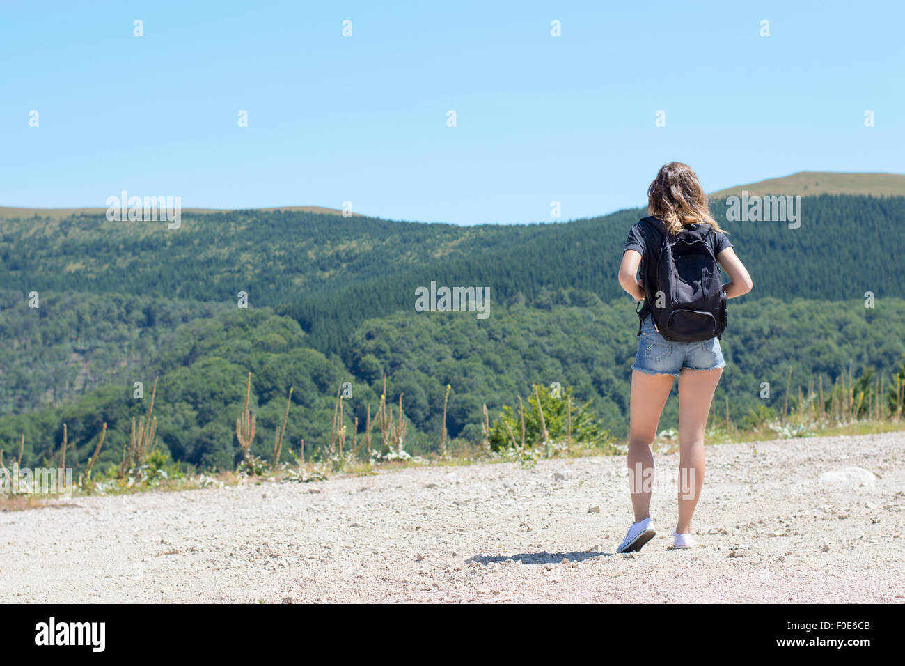 Giovane e bella ragazza con uno zaino sulla schiena, in piedi sul plateau. Il verde dei prati e montagne maestose in backgrou Foto Stock