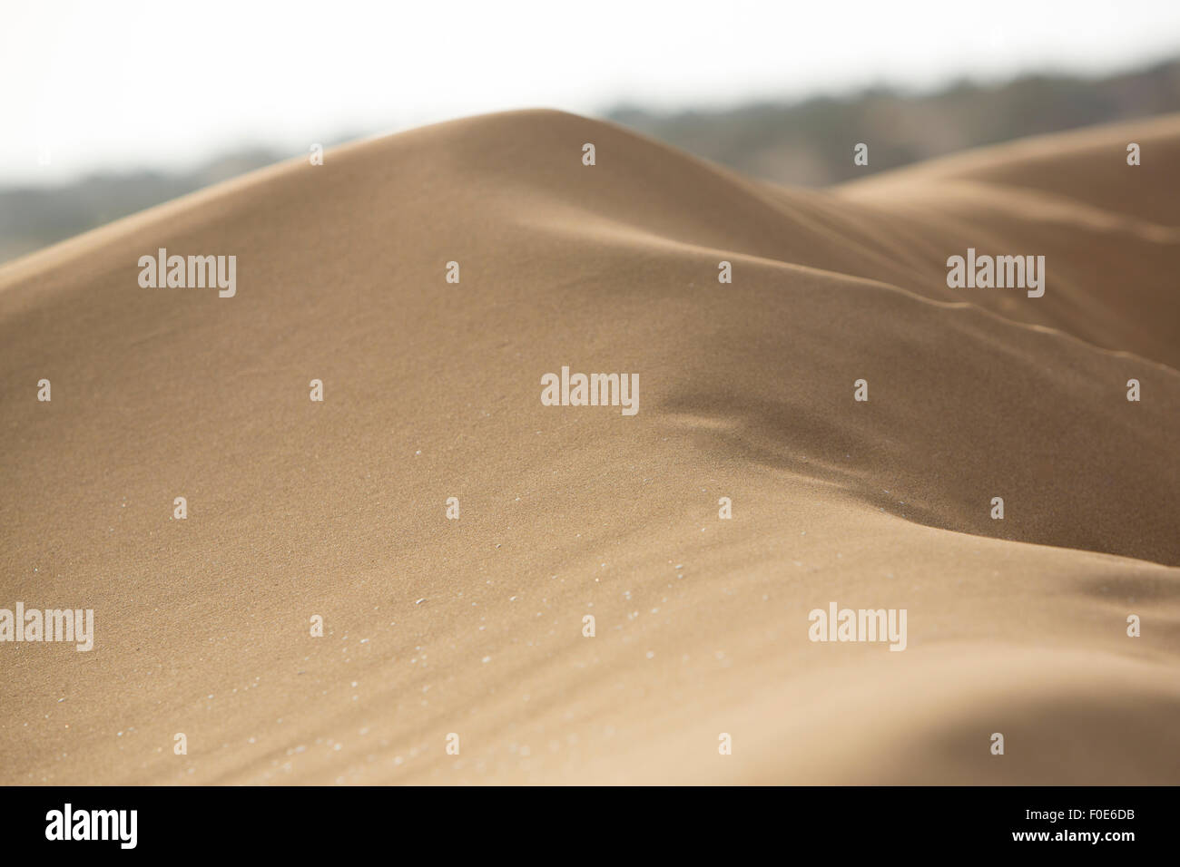 Primo piano di una duna di sabbia in Sidi Kaouki, Marocco Foto Stock