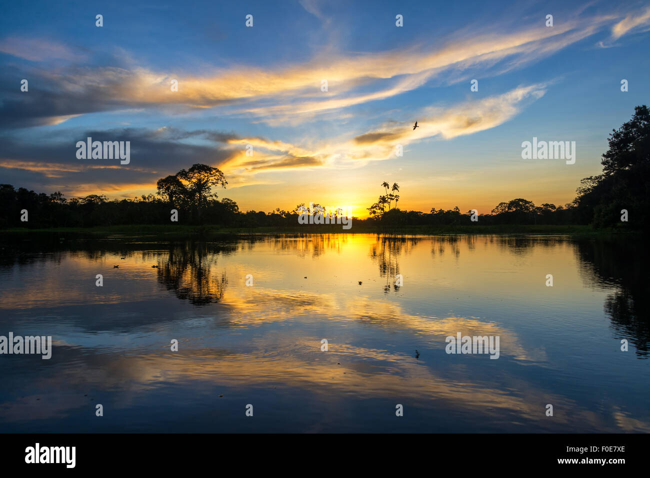 Bellissimo tramonto riflesso sul fiume Yanayacu nella foresta amazzonica in Perù Foto Stock