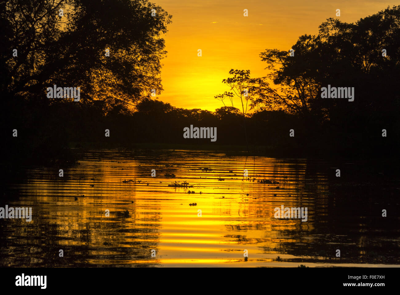 Fiery arancione tramonto su un affluente di Amazon in Perù Foto Stock