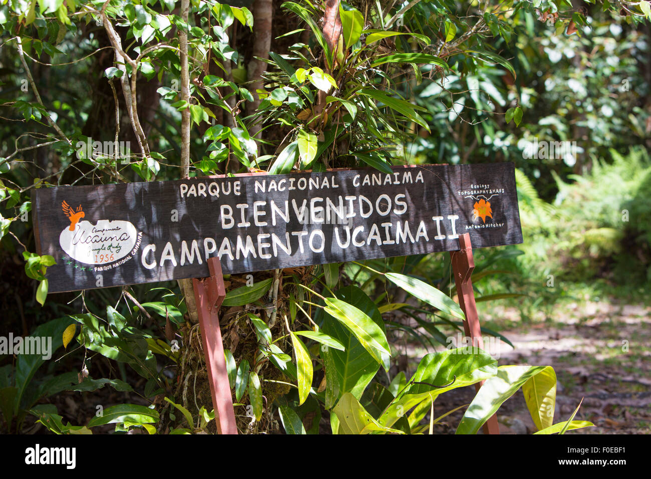 Verde foresta profondo di legno in segno di benvenuto. Parco Nazionale di Canaima. Venezuela 2015 Foto Stock