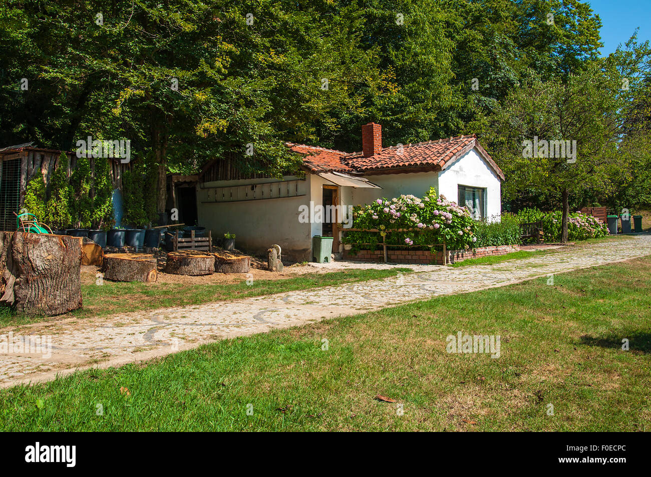 Piccolo cottage bianco da un verde prato estivo. Foto Stock