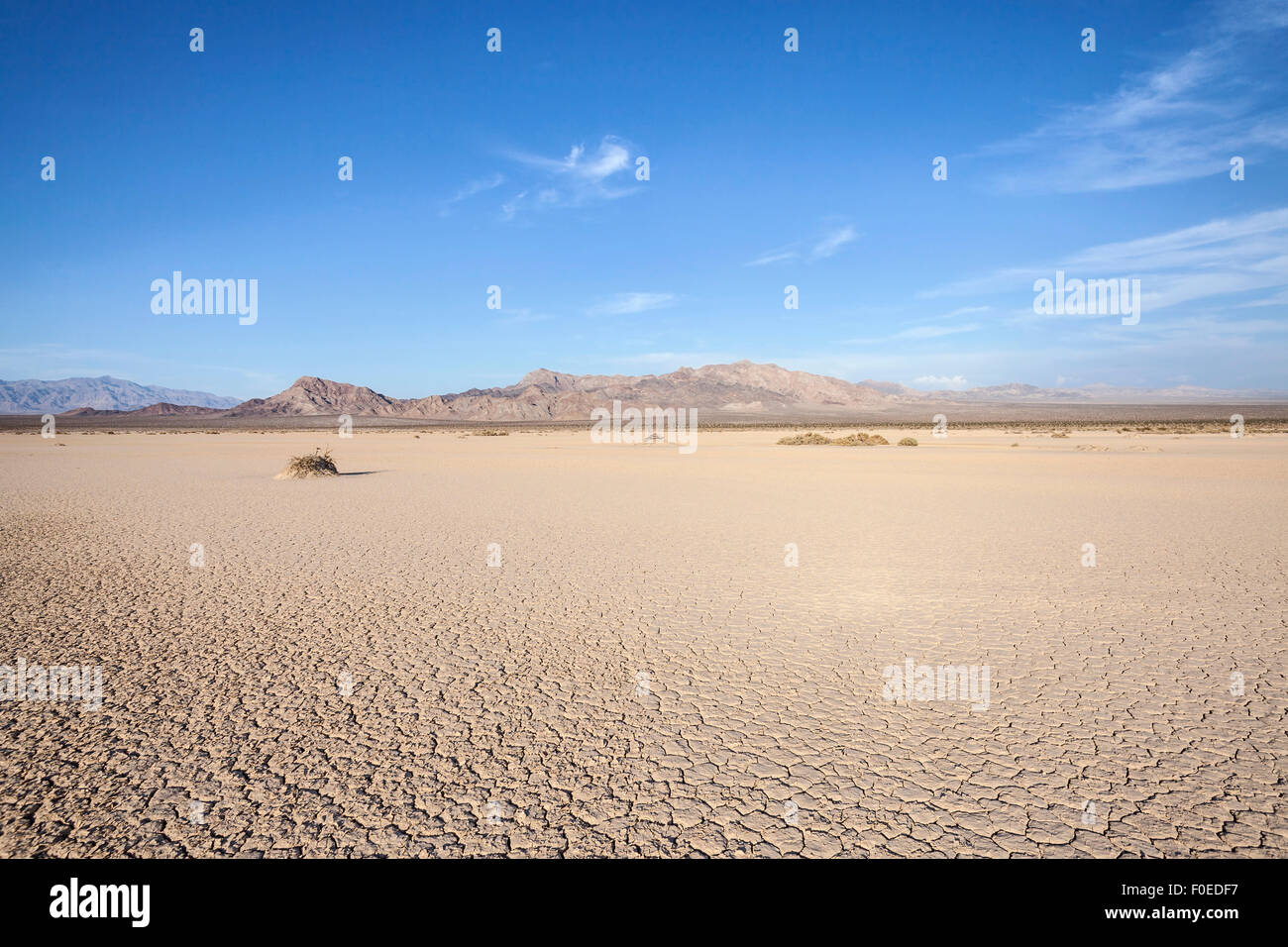 Fango secco lago piatto bed vicino a Death Valley in California il Mojave Desert. Foto Stock