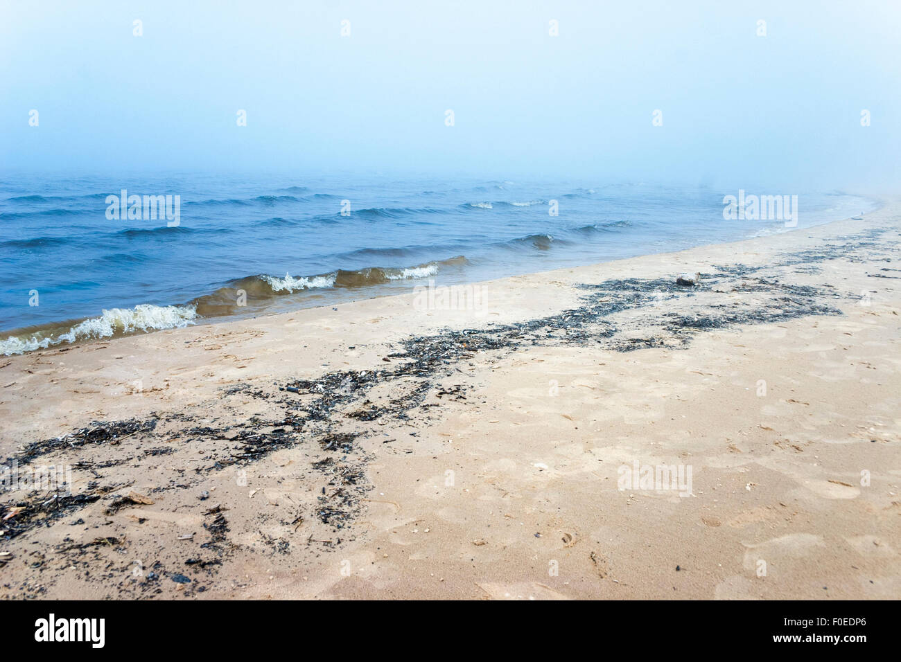 Misty del Mar Baltico, la Lettonia Foto Stock