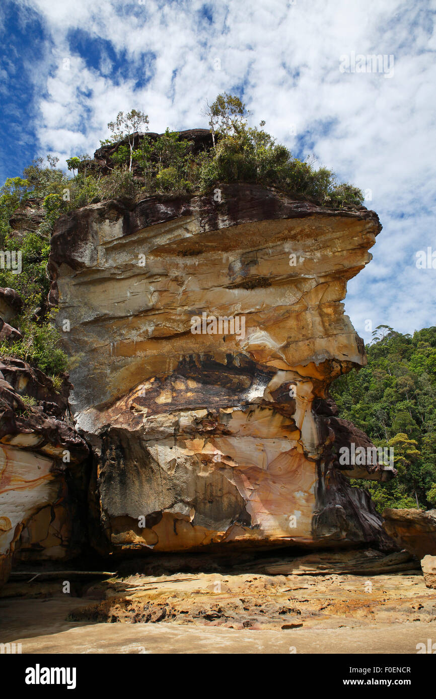 Bako National Park, scogliere di arenaria sulla costa e sul Mare della Cina del Sud, Sarawak, Borneo, Malaysia Foto Stock