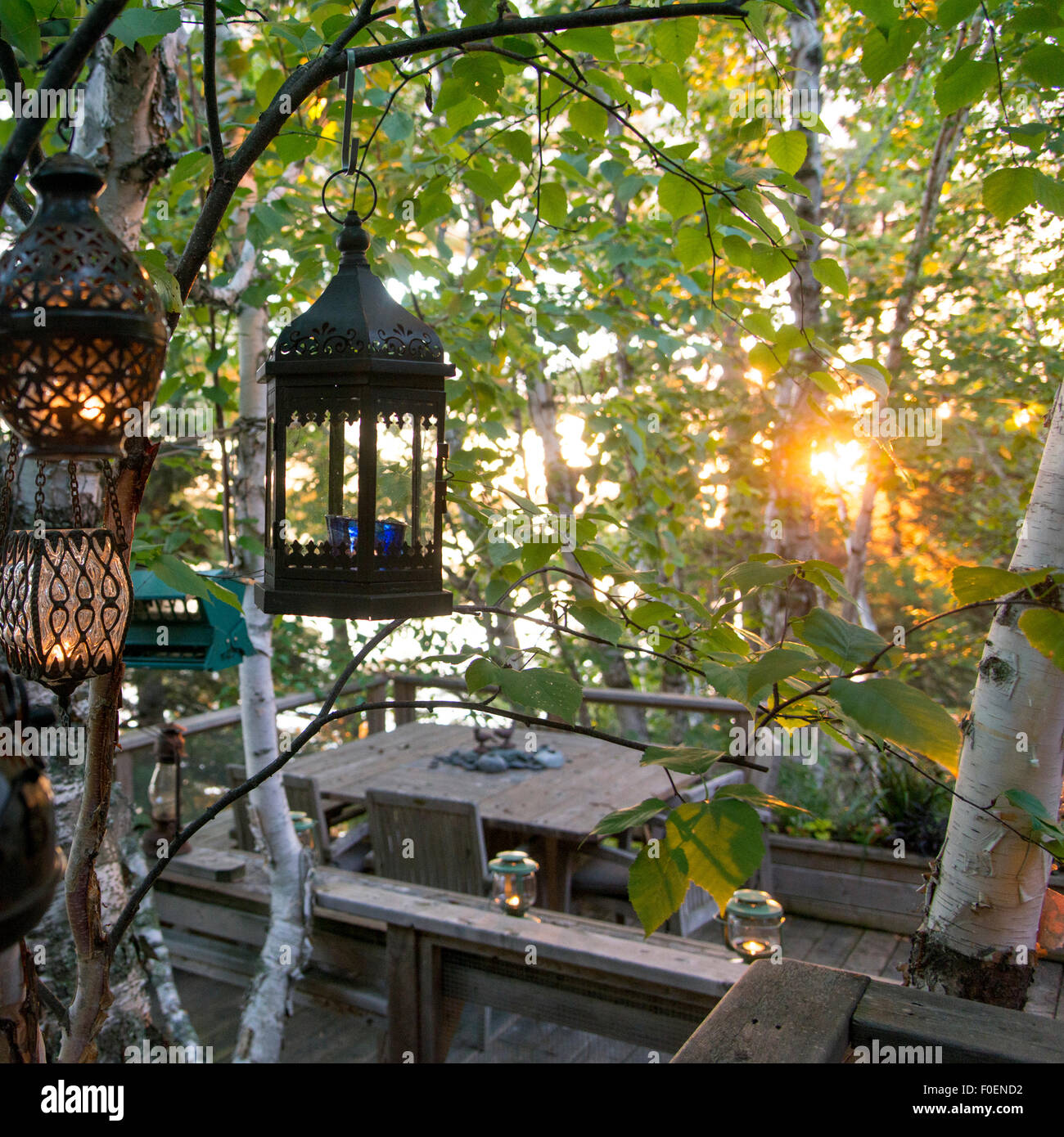 Lanterne appese ramo di un albero immagini e fotografie stock ad alta  risoluzione - Alamy