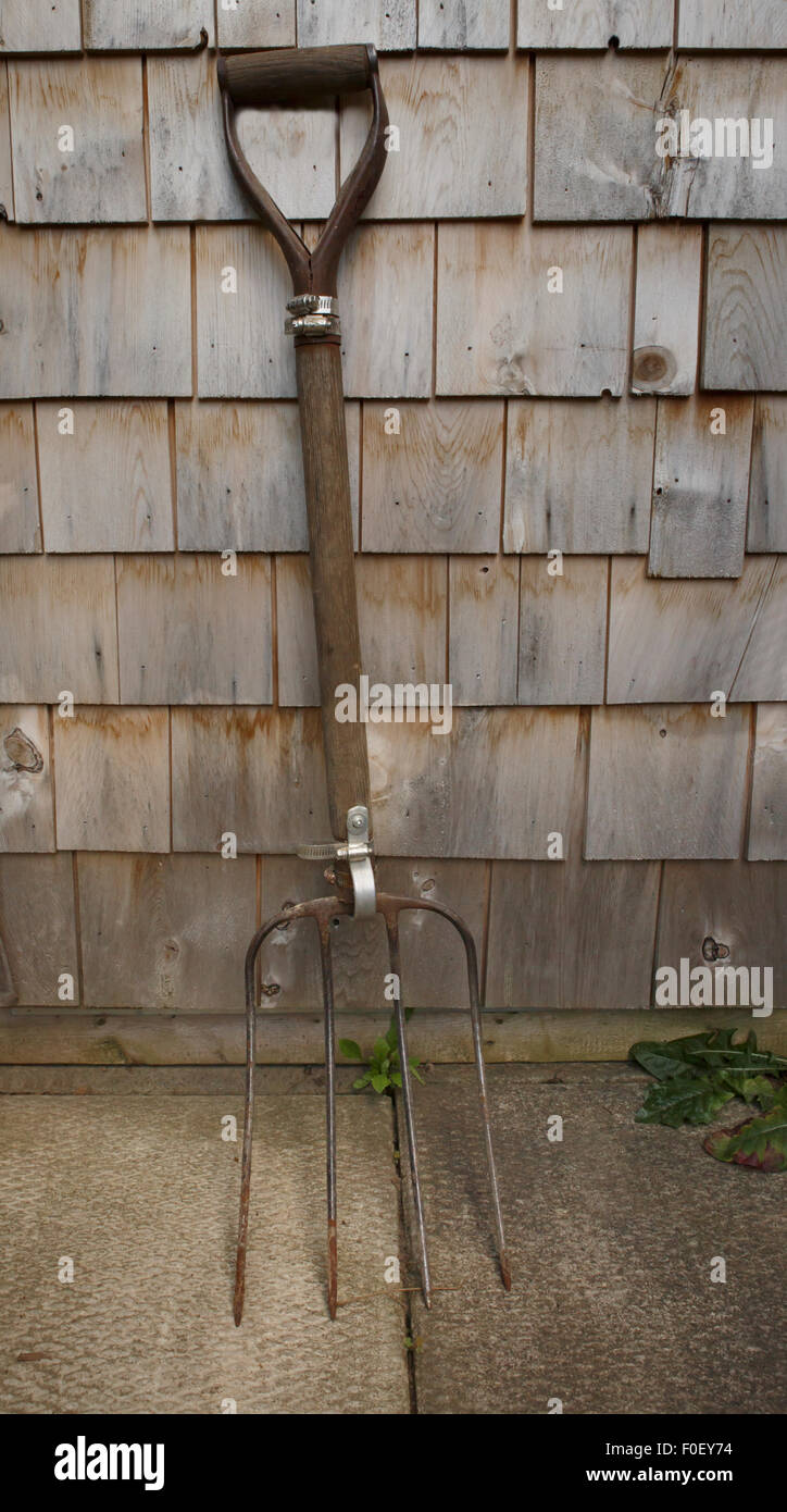 Vecchio forcone appoggiata contro un cedro parete incastrata Foto Stock