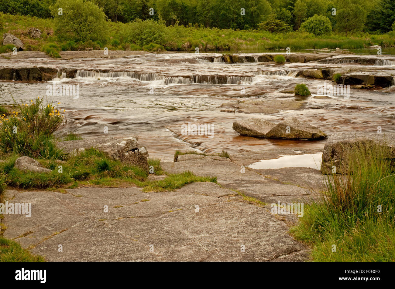 La lontra piscina sul Raider's Road Forest Drive Foto Stock