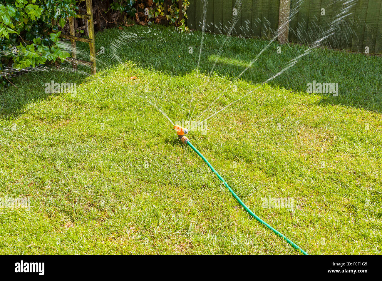 Una irrigazione sprinkler un giardino prato nel Regno Unito Foto Stock