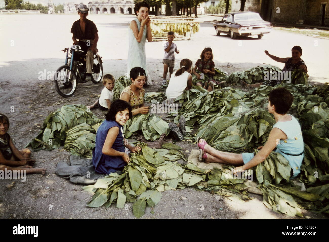 Geografia / viaggio, Italia, persone, bambini e donne durante la preparazione del tabacco seduto per strada, anni 60, diritti aggiuntivi-clearences-non disponibile Foto Stock