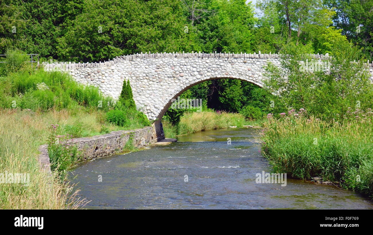 Un ponte pedonale in un parco provinciale in Canada Foto Stock