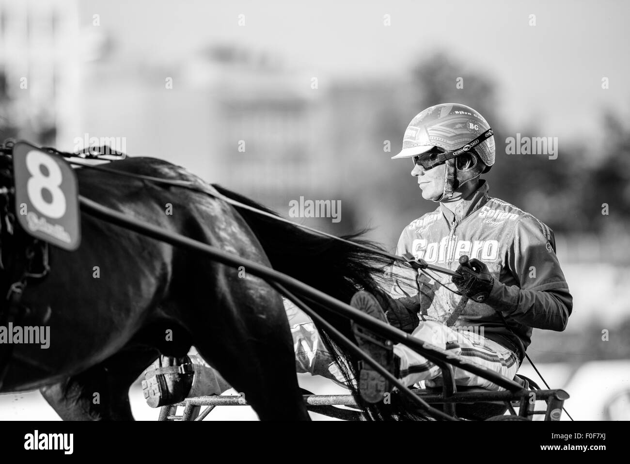 Cablaggio race driver Björn Goop Foto Stock