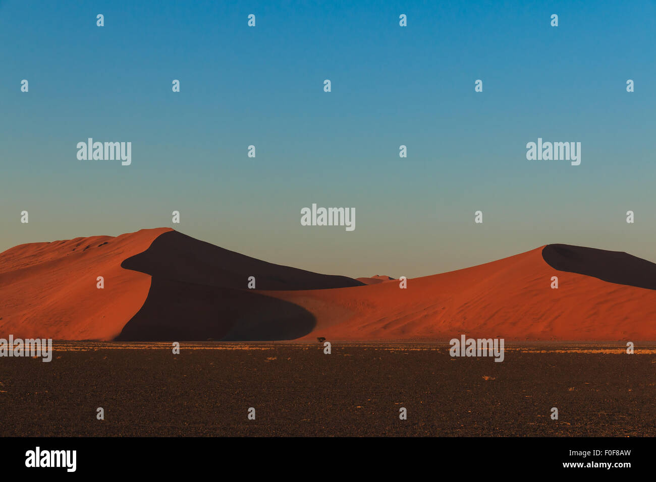 Mighty dune rosse del cambio sempre sabbia. Al tramonto Sossusvlei, Namibia, Africa. Foto Stock