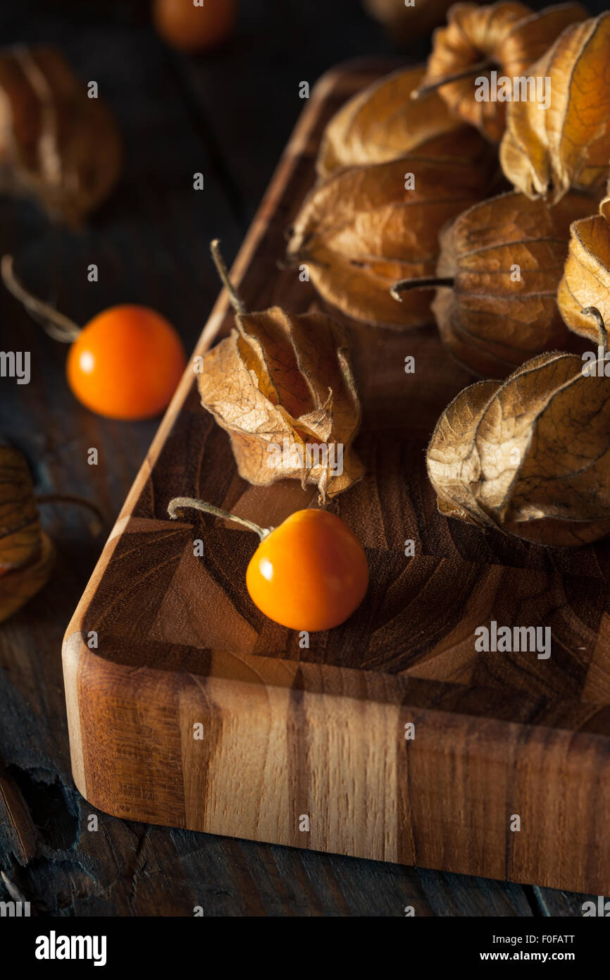 Colore arancione organico Ribes del capo in una ciotola Foto Stock