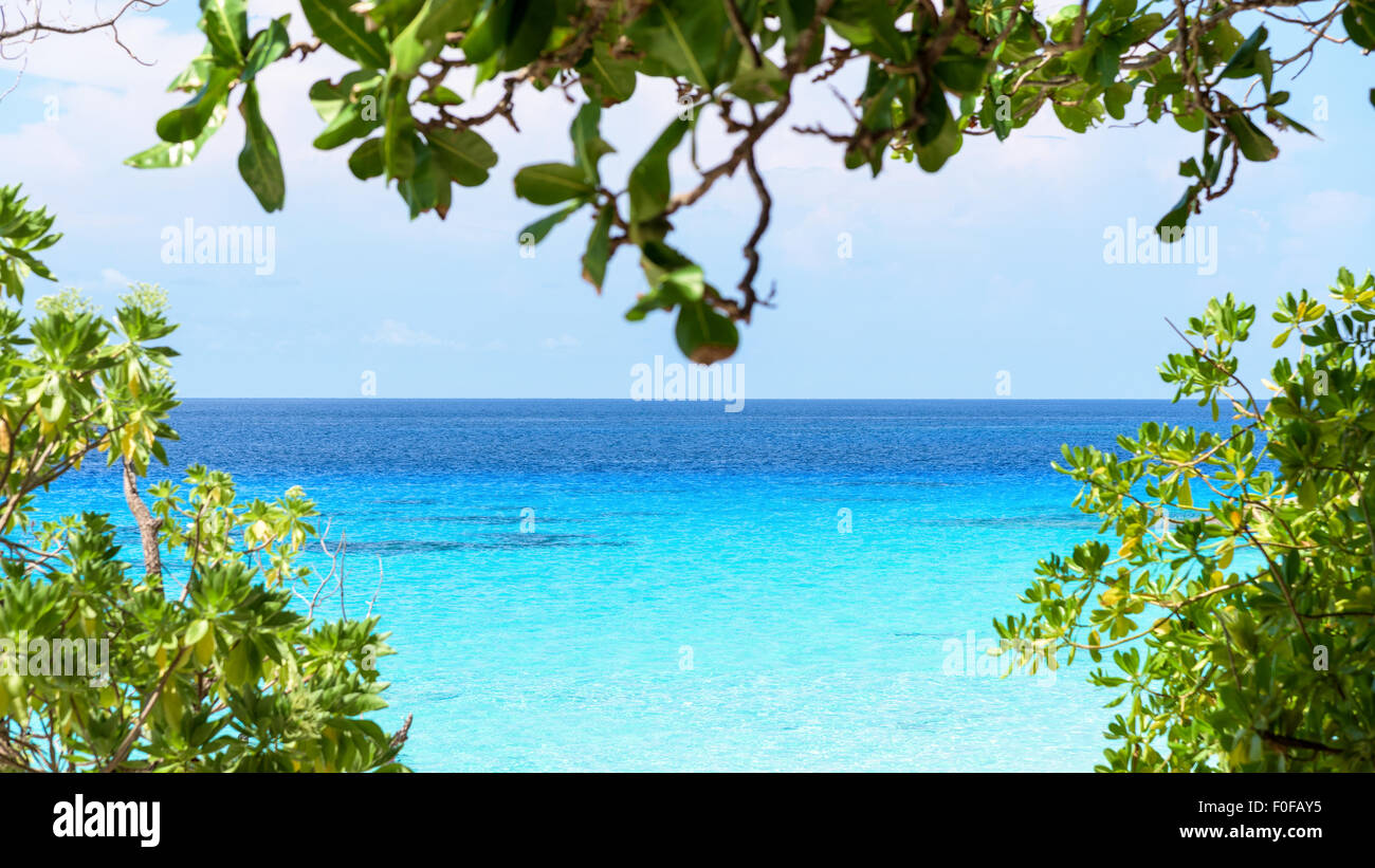 Bel mare blu guardando attraverso i rametti e foglie verdi dalle spiagge di Koh Miang è un isola di attrazioni famose Foto Stock