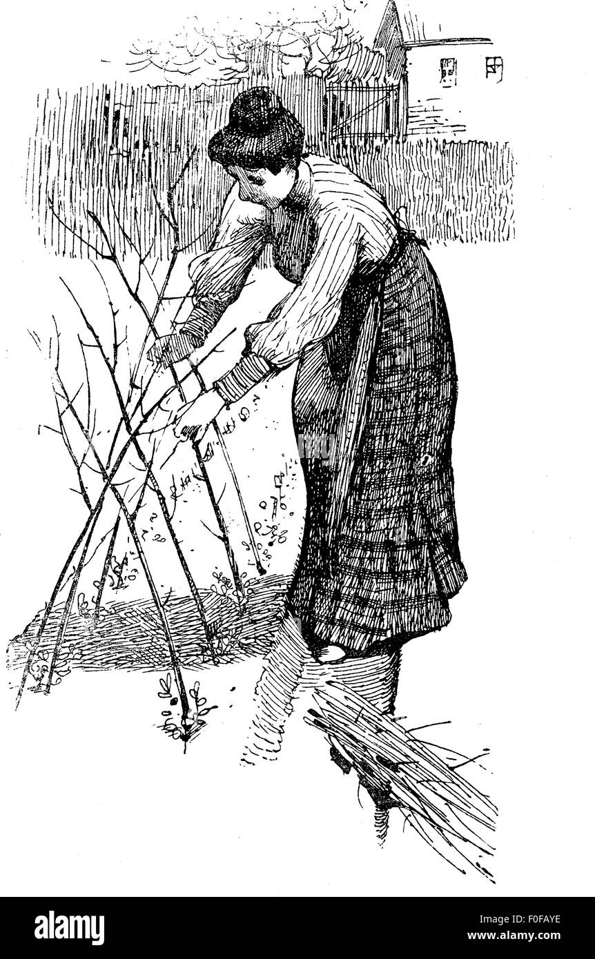 Signora agricoltore disponendo i rami in terra al di fuori di una casa colonica Foto Stock