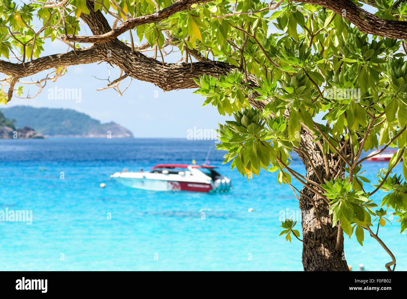 Bel mare blu guardando attraverso i rametti e foglie verdi dalle spiagge di Koh Miang è un isola di attrazioni famose Foto Stock