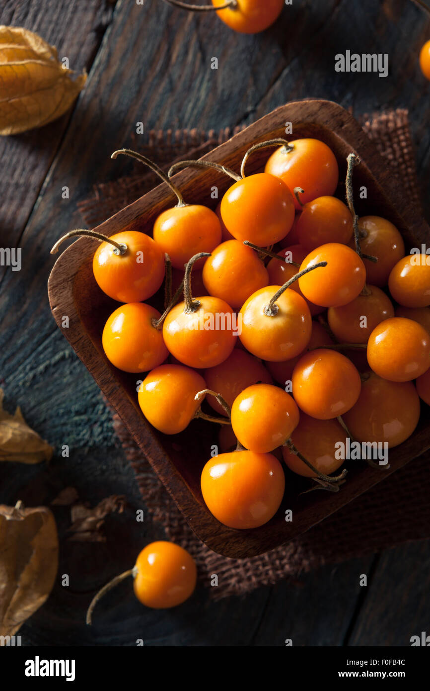 Colore arancione organico Ribes del capo in una ciotola Foto Stock