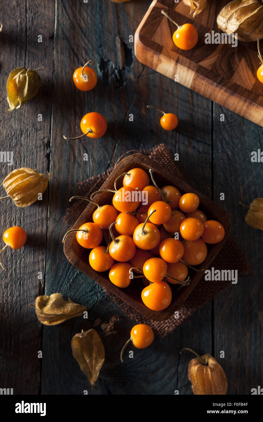 Colore arancione organico Ribes del capo in una ciotola Foto Stock