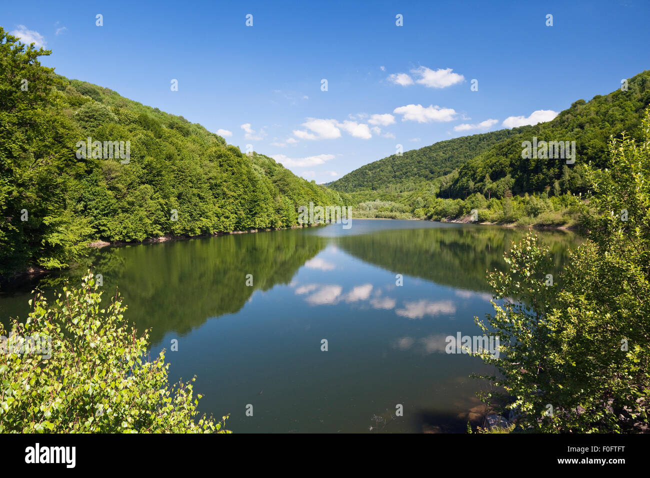 Starina Lago con foresta riflessa nell'acqua, Poloniny Parco Nazionale dei Carpazi occidentali, la Slovacchia, l'Europa, Maggio 2009 Foto Stock