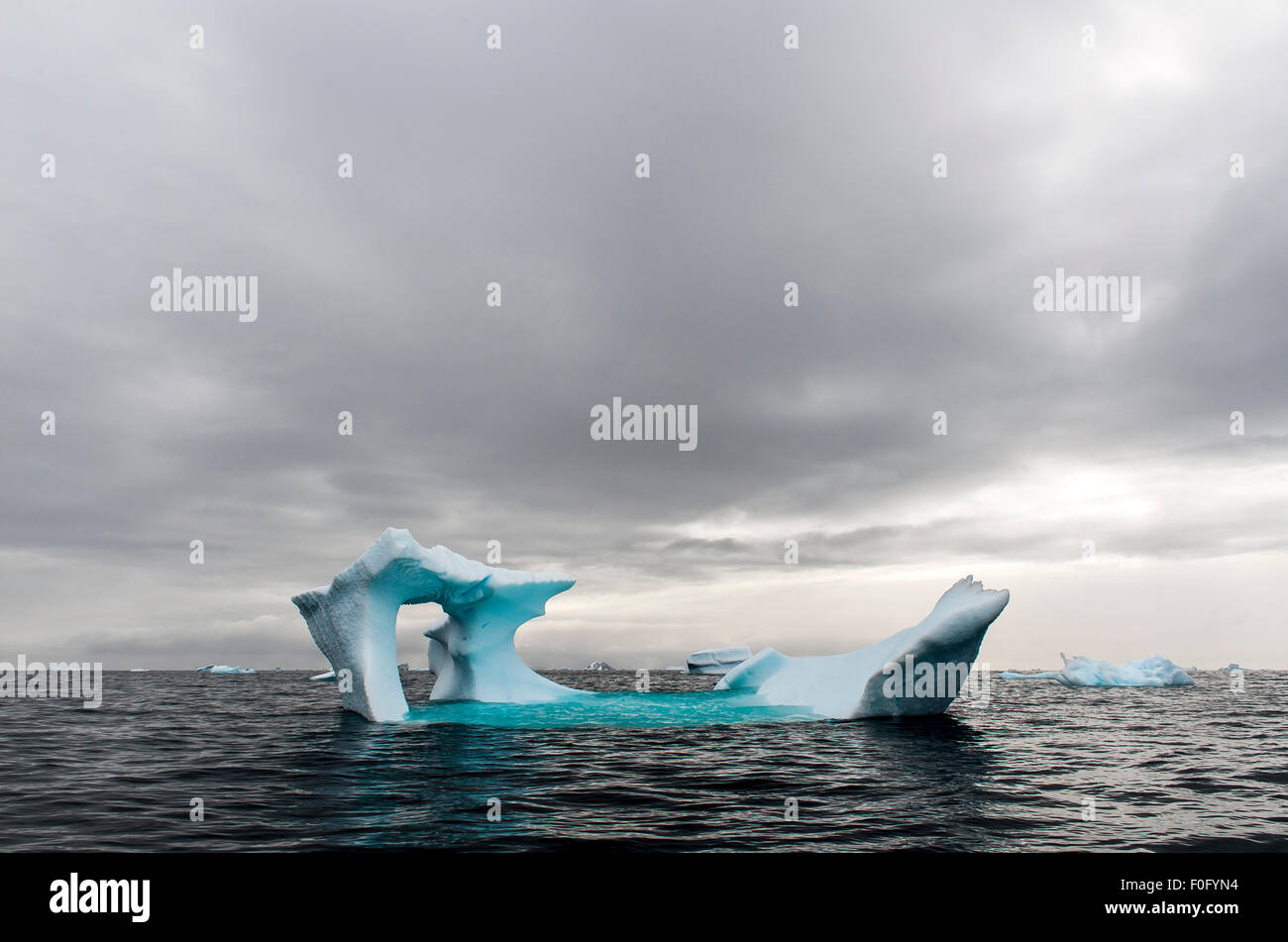Blu iceberg galleggianti in mare Cierva Cove Penisola Antartica Antartide Foto Stock