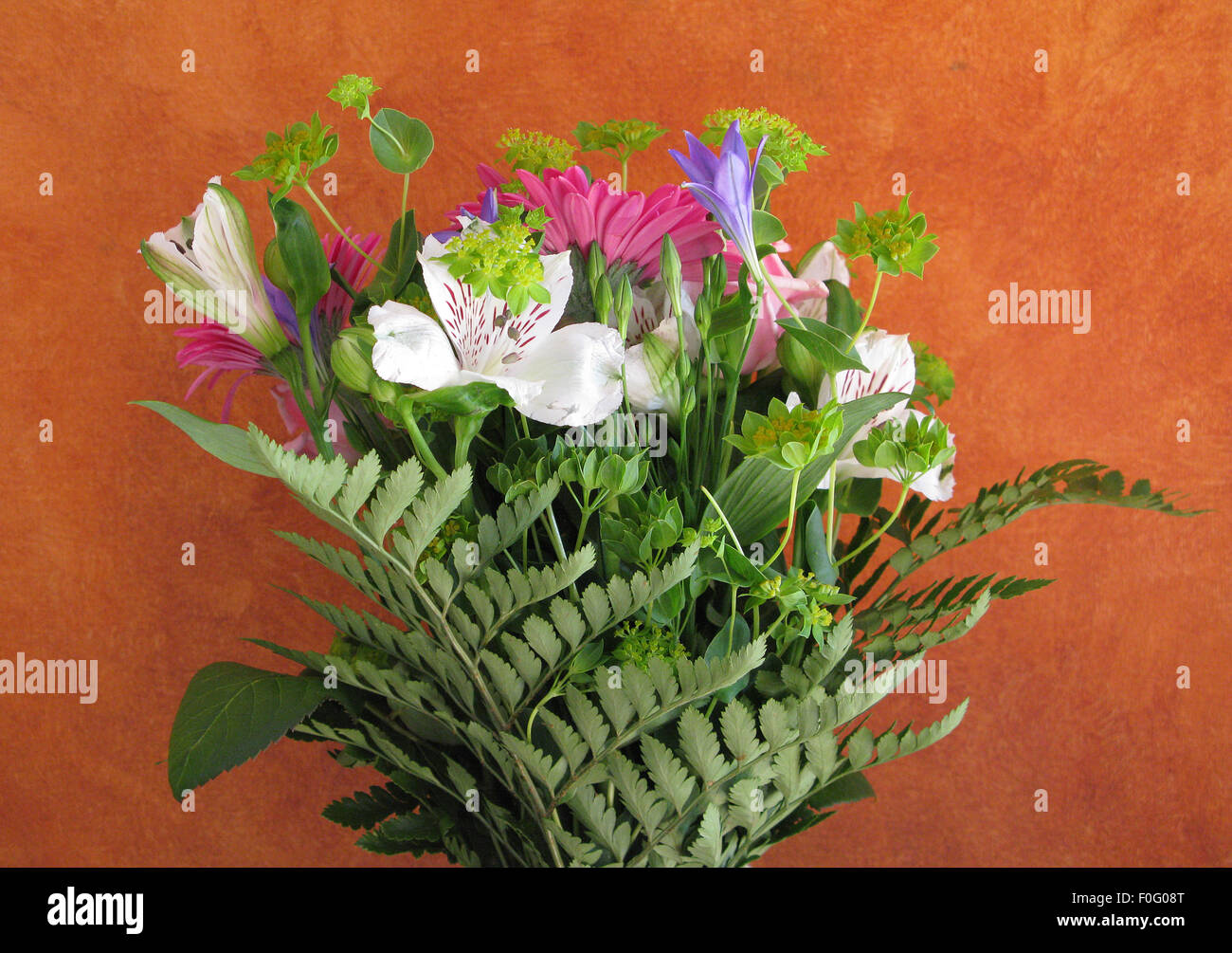 Colorate bouquet di fiori su sfondo arancione Foto Stock