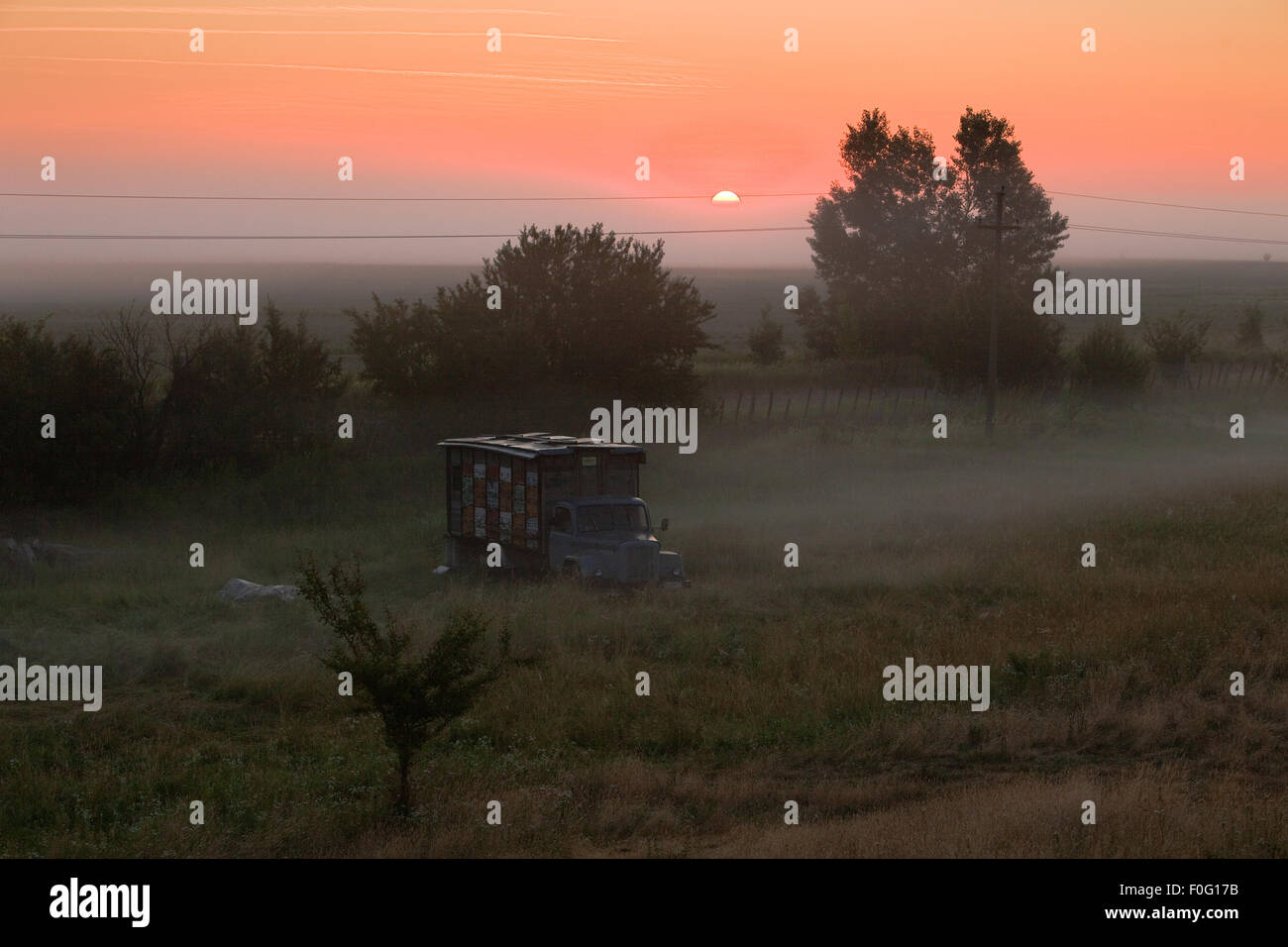 Bee keeper di alveari in un vecchio carrello coltivati nella terra di confine tra la Croazia e la Serbia, Gornje Podunavlje Riserva Naturale Speciale, Serbia, Giugno 2009 Foto Stock