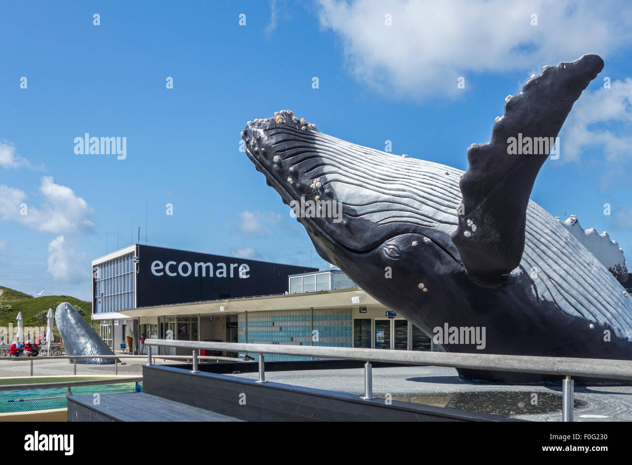 Humpback Whale scultura a Ecomare, guarnizione santuario e centro per la natura e la vita marina in Texel, Paesi Bassi Foto Stock