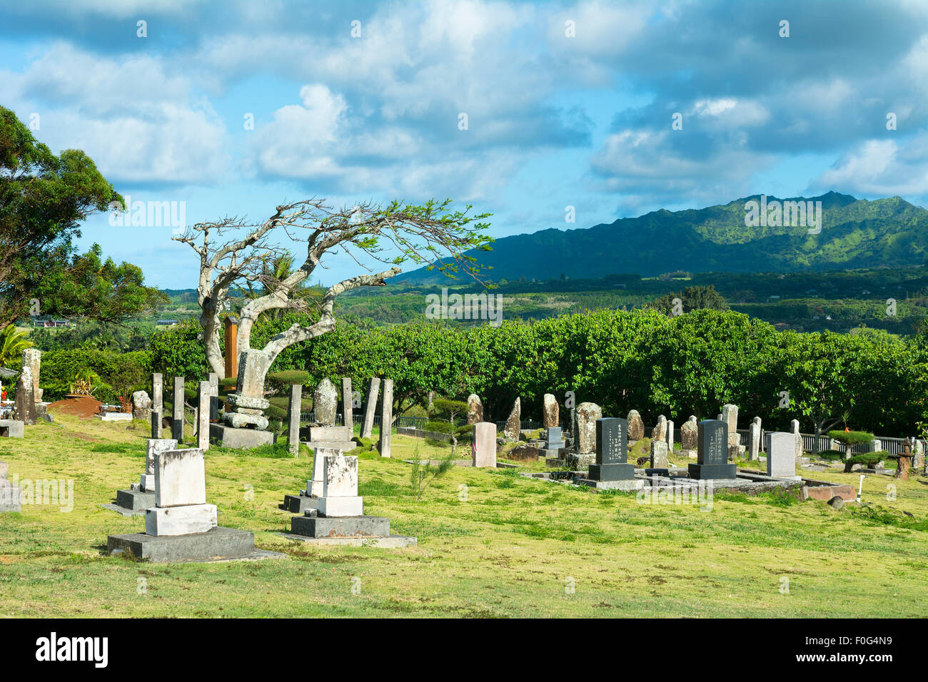 Piccola chiesa del cimitero di massa con vecchie lapidi dagli inizi del XIX secolo in Hawaii Foto Stock