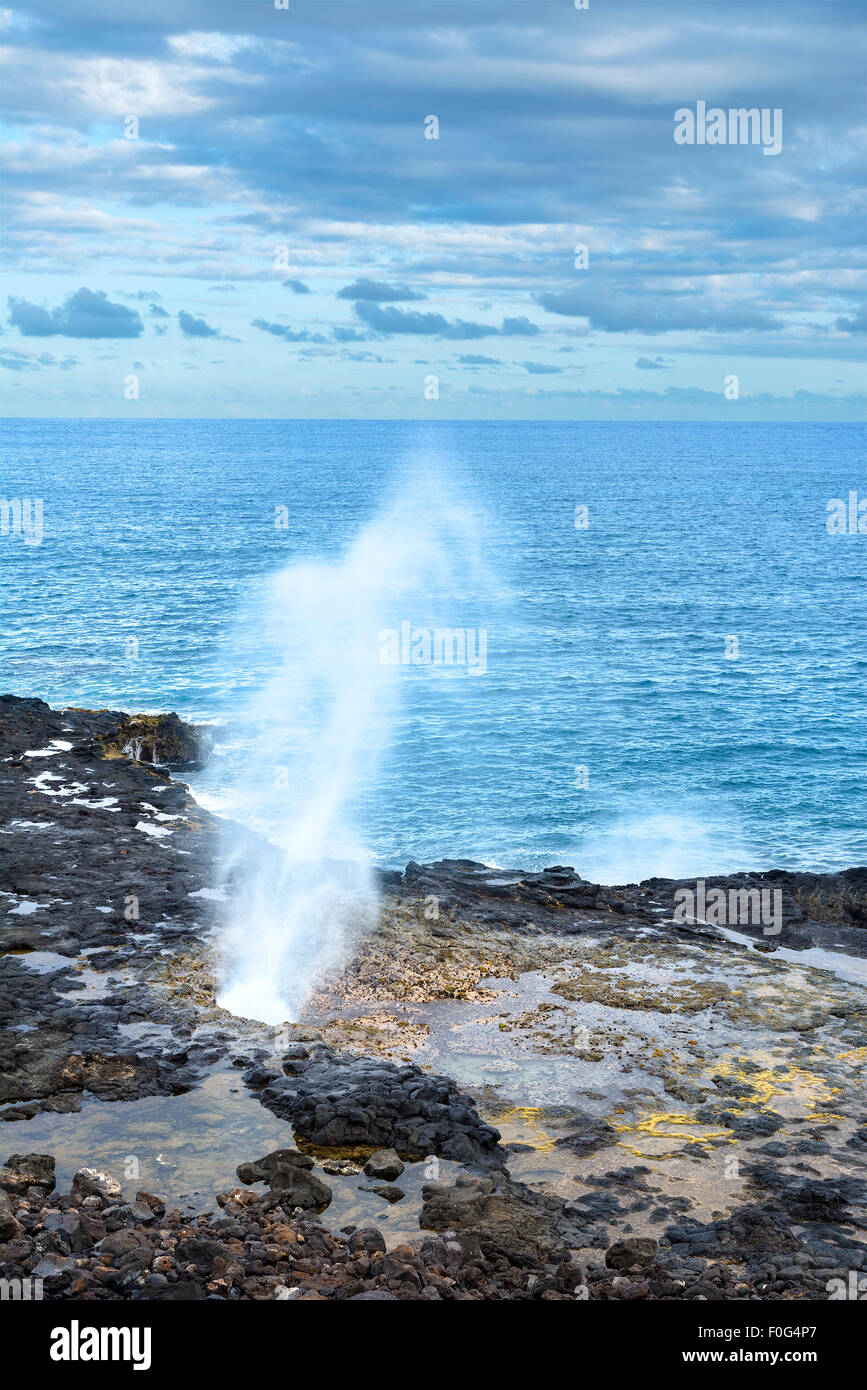 Un reef in Kauai Hawaii ospita un foro di sfiato che quando si gonfia hit, acqua becchi fuori del foro in alto l'aria. Foto Stock