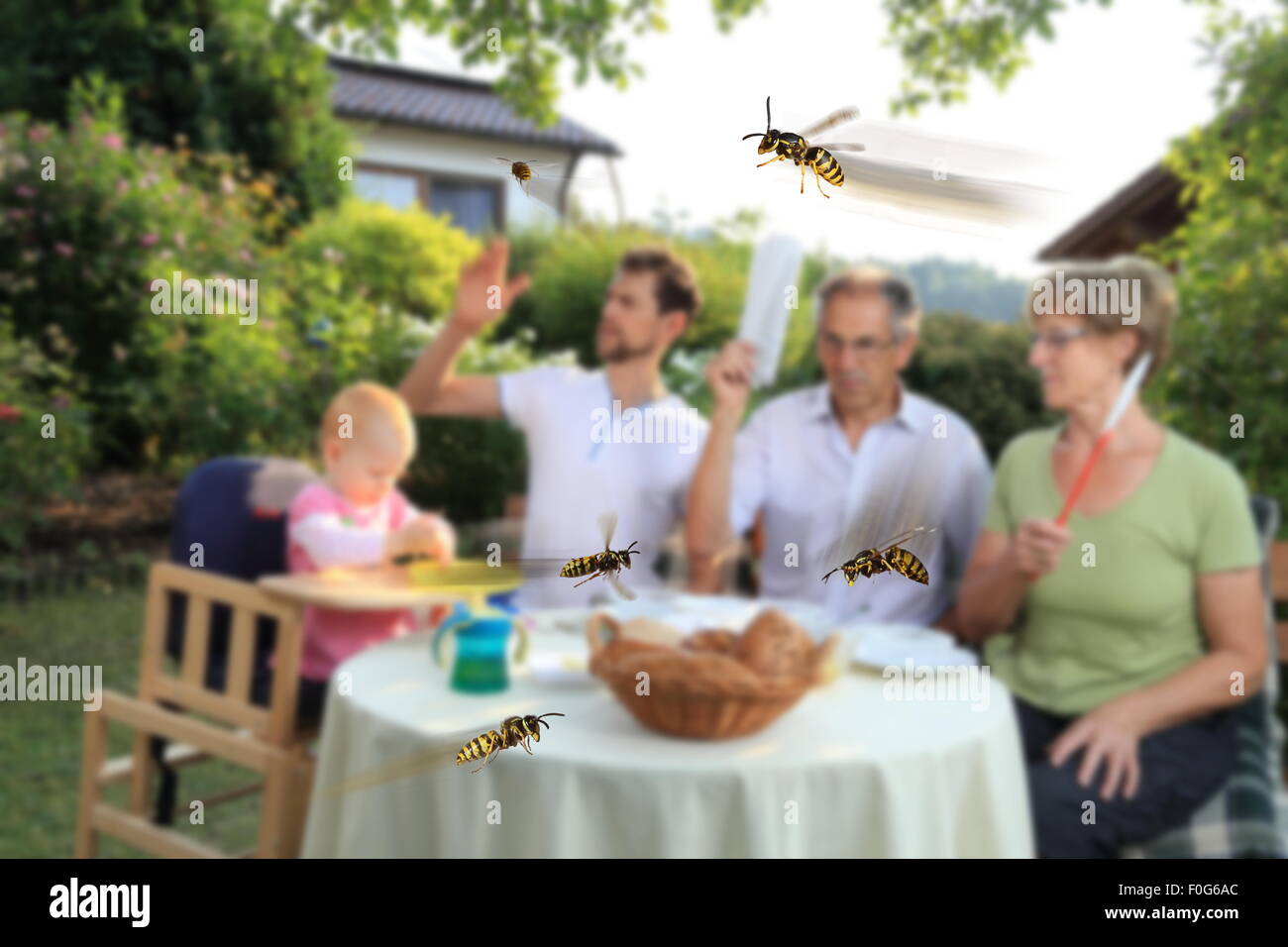 Una famiglia di mangiare con Wasp Plage Foto Stock