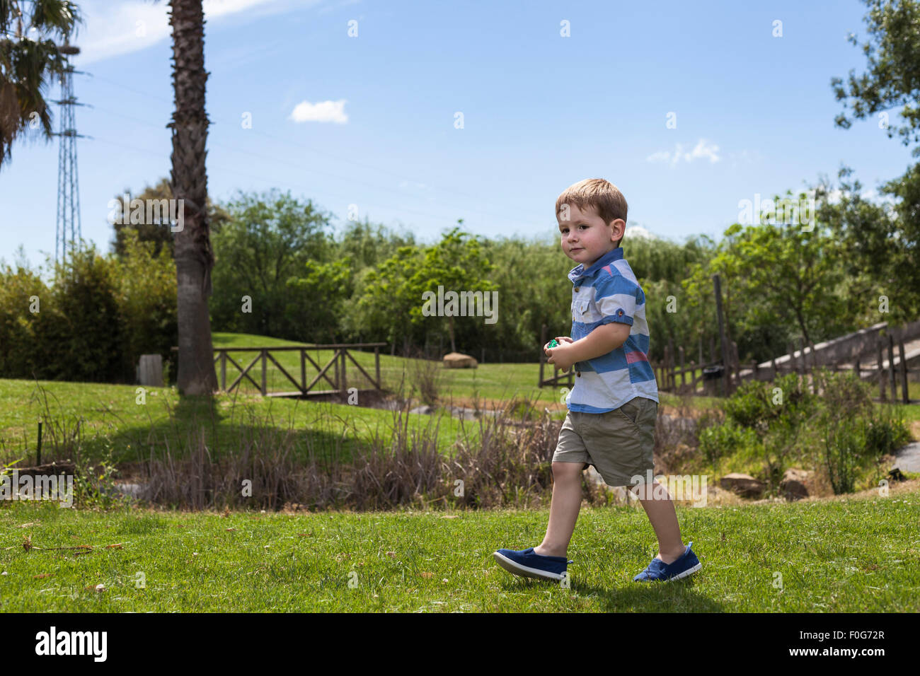 Happy Child boy passeggiate nel parco durante il giorno d'estate e di sole. Foto Stock