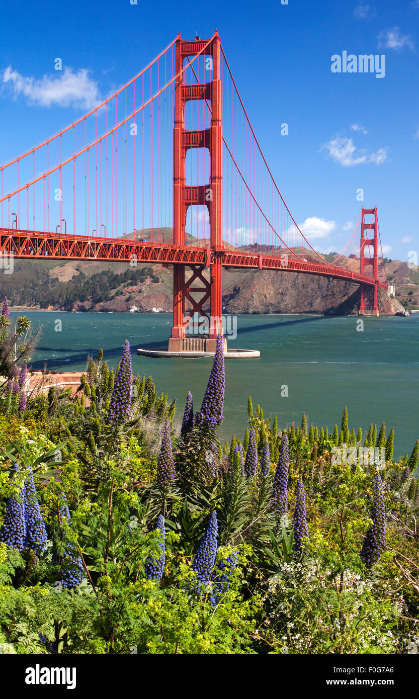 Il Golden Gate Bridge di San Francisco, Stati Uniti d'America Foto Stock