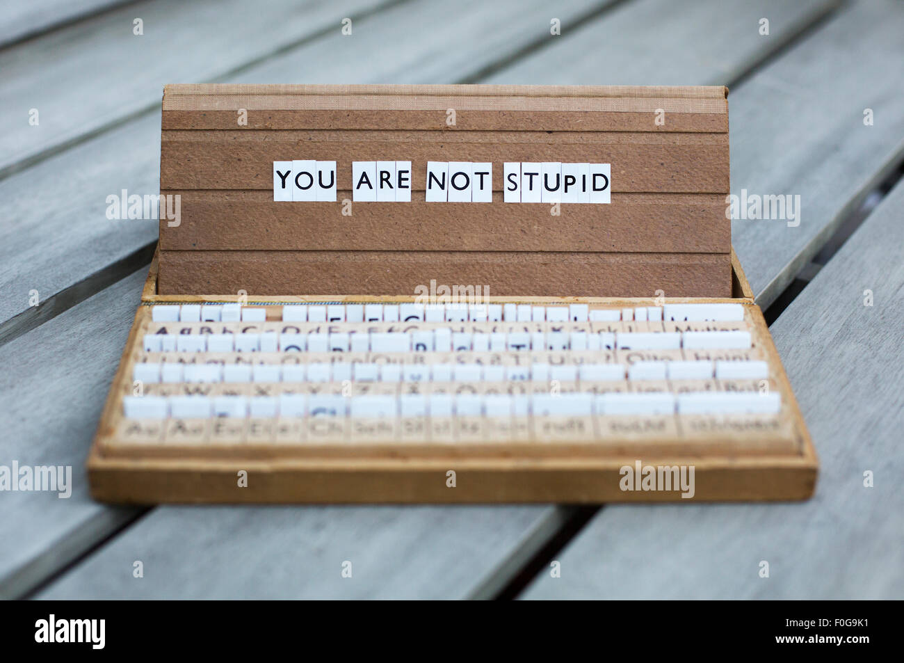 Le parole "non sei stupido" su una vecchia scuola letter box Foto Stock