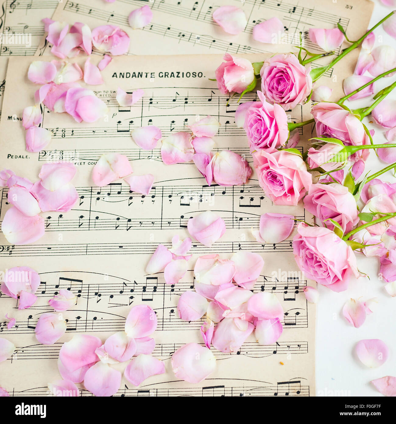 Le rose rosa su vintage carta da musica Foto Stock