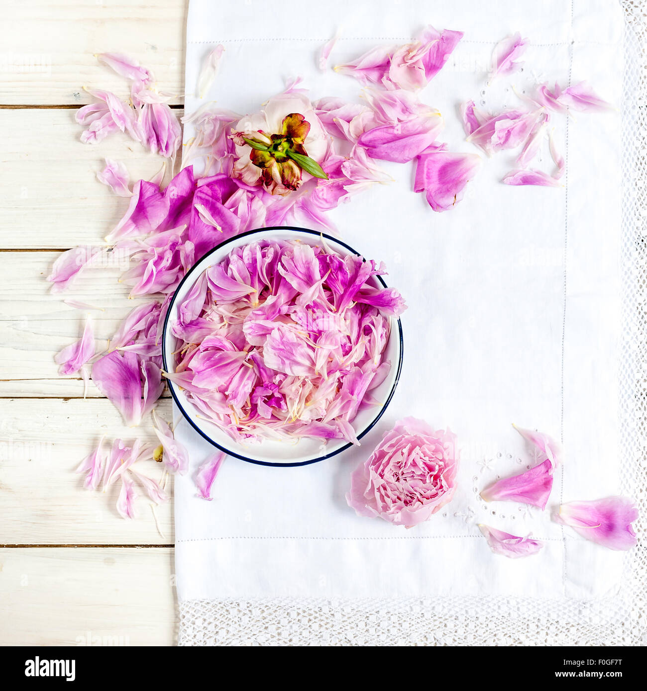 Una piastra bianca con rosa peonia petali su vintage white tovaglia di pizzo Foto Stock