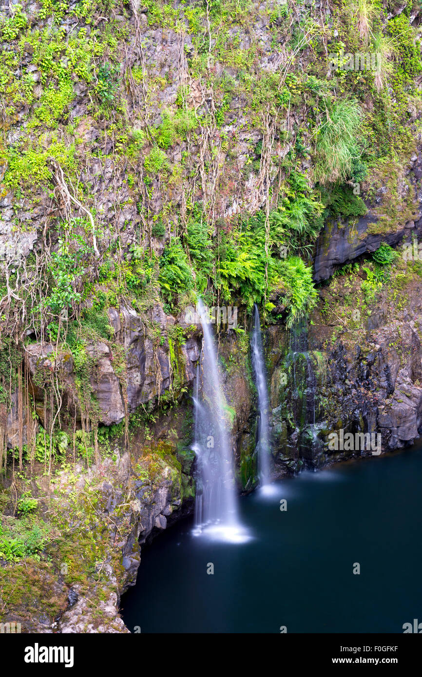 Circondato da lussureggiante vegetazione, una piccola cascata in Hilo Hawaii forme cascading fluisce in una piscina naturale. Foto Stock