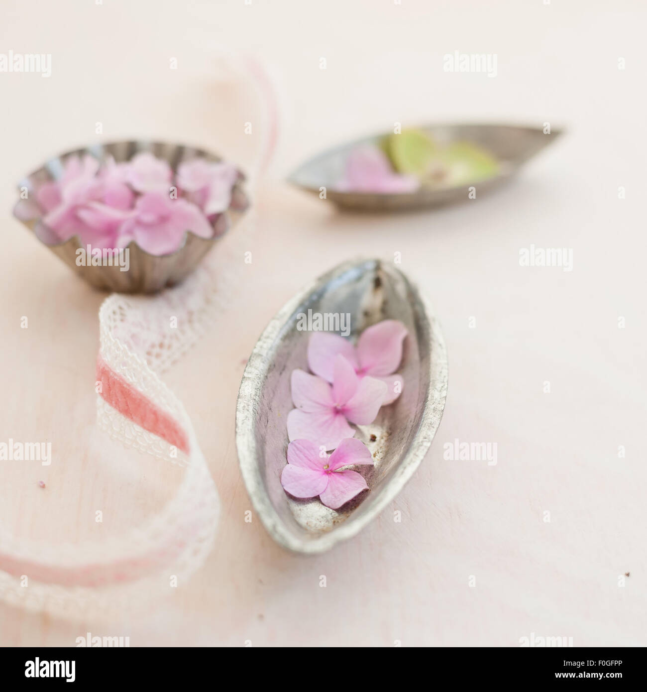 Rosa ortensie, vintage teglie e nastro Foto Stock