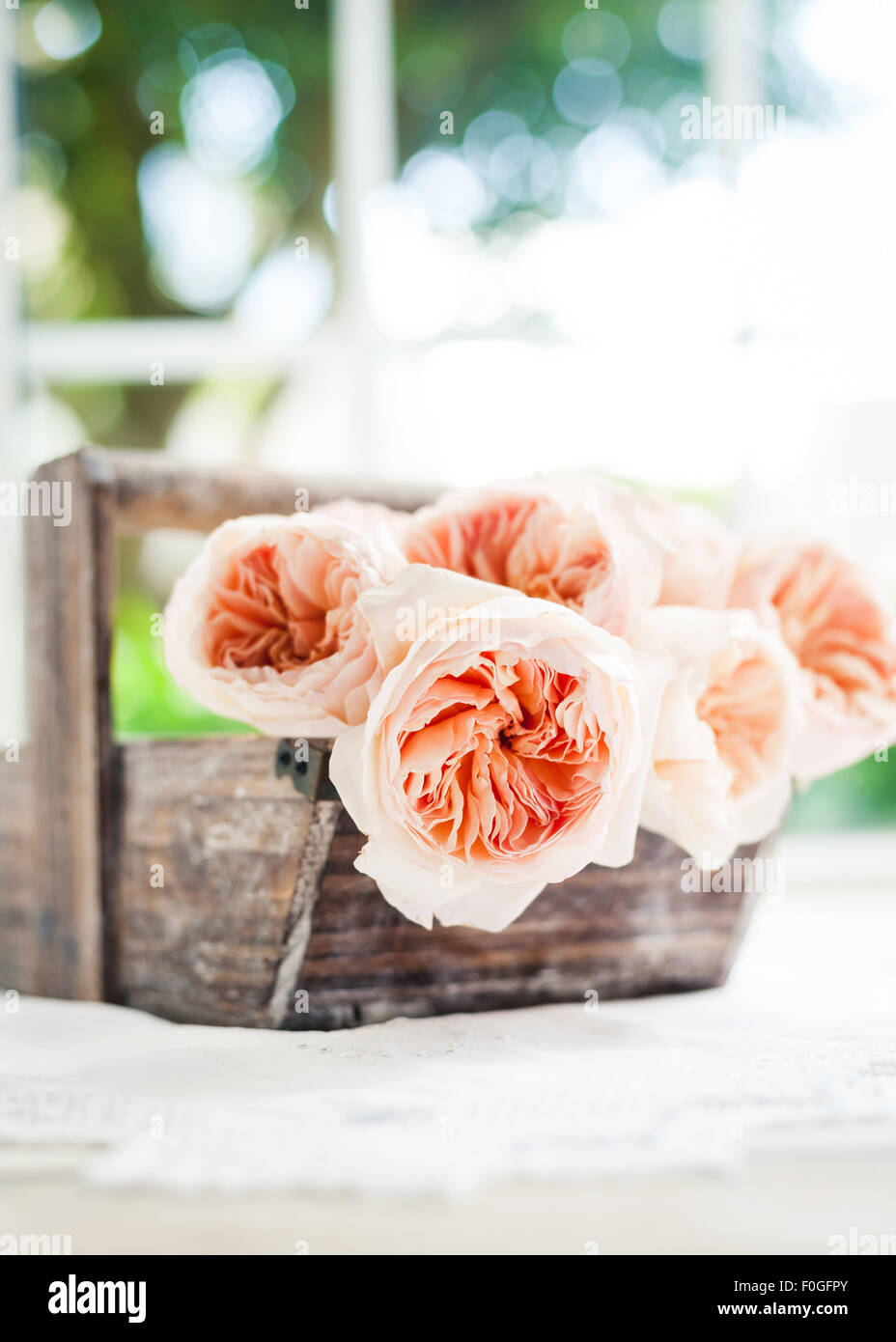 Mazzetto di David Austin Juliet Rose in un cesto rustico su un davanzale Foto Stock