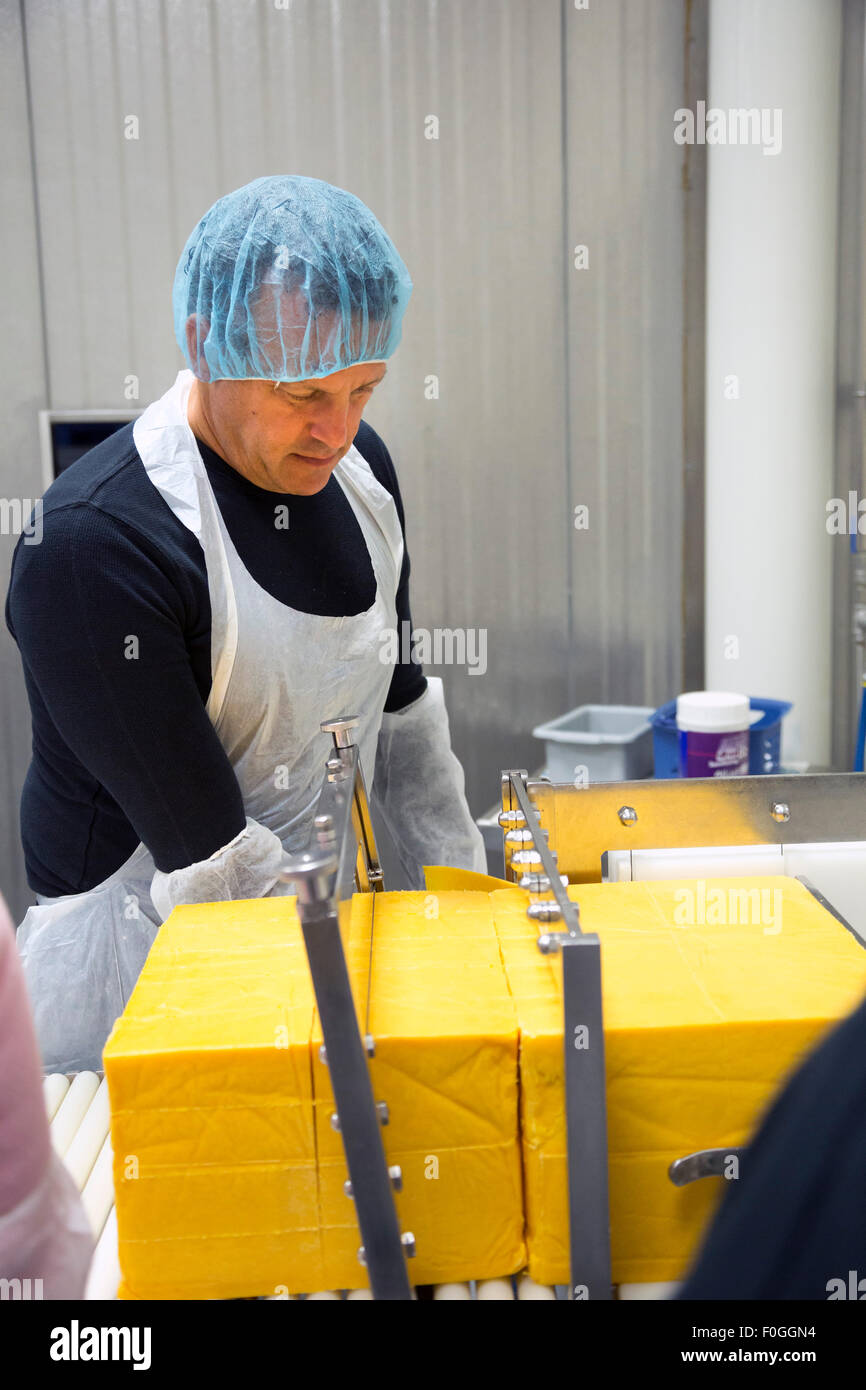 Salt Lake City, Utah - un volontario taglia il formaggio in blocchi nel caseificio presso la chiesa Mormone il benessere Square complesso. Foto Stock