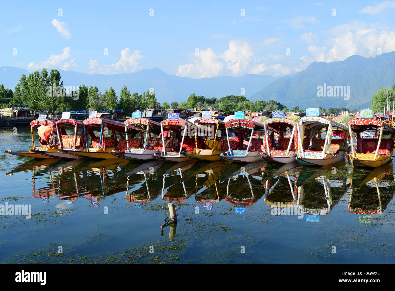 Dal lago e shikara imbarcazioni al bellissimo paesaggio del Kashmir a Srinagar Jammu e Kashmir India Foto Stock